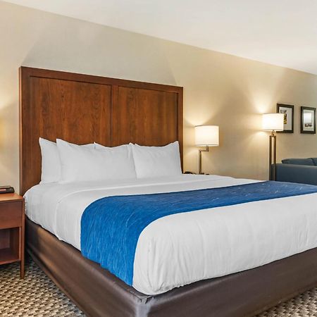 Comfort Inn & Suites Near Route 66 Lincoln Chambre photo