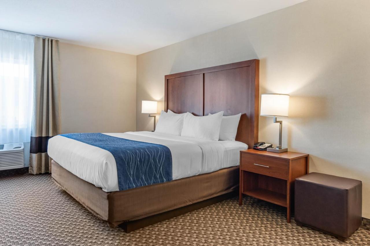 Comfort Inn & Suites Near Route 66 Lincoln Chambre photo