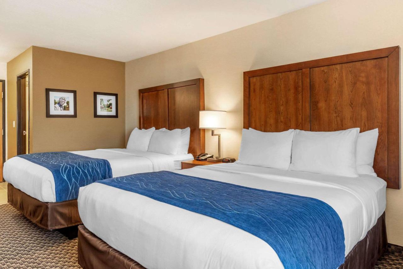 Comfort Inn & Suites Near Route 66 Lincoln Extérieur photo